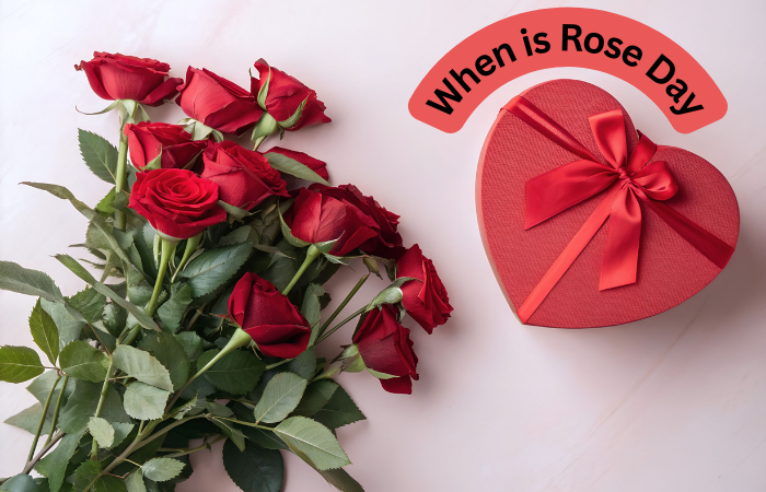 When Is Rose Day? Saturday, 7th February 2026
