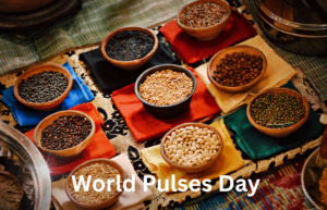 world pulses day